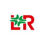 Translation Management Team